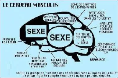 Perle du bac : la sexualit&eacute; !