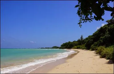 Cette &icirc;le du golfe du Bengale, faisant partie des &icirc;les Andaman, a tout ce qu'il faut pour passer des vacances de r&ecirc;ve, immenses plages, flots bleus, sable blanc, elle est pourtant consid&eacute;r&eacute;e comme l'&icirc;le la plus dangereuse du monde !