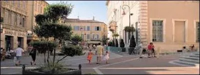 Située à environ 25 km d'Avignon, cette commune est la capitale du Comtat Venaissin.