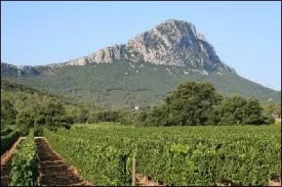 Faisant face à l'Hortus ce pic est considéré comme l'un des plus beaux sites naturels de la région Languedoc-Roussillon.