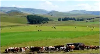 Plateau volcanique c'est également l'une des cinq régions naturelles du parc régional des Volcans d'Auvergne.