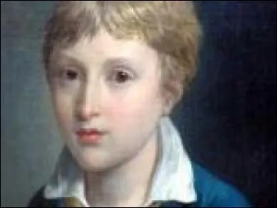 C'est une histoire à vomir écrite par un régime de terreur. Un enfant est arraché à sa mère dans une prison et livré à un bourreau pendant qu'on guillotine celle-ci. Le bourreau s'en donne à coeur joie dans cette cellule obscure sans hygiène, sans secours. Il reçoit sa nourriture par un guichet, subissant les pires sévices. Il devait être roi de France et finit avec la gale et la tuberculose...