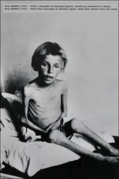 Nous ne pouvons prendre tous les enfants morts dû à cet horrible dictature dirigée par des fous criminels qui se justifiait par le désir d'expansion territoriale et pour lesquels le mot humanité n'avait plus de sens. Devant tant d'horreurs nous prendrons une seule famille où la mère perdit ses enfants dans les camps de la mort où le statut d'esclaves leur était attribué. Ce sont ...