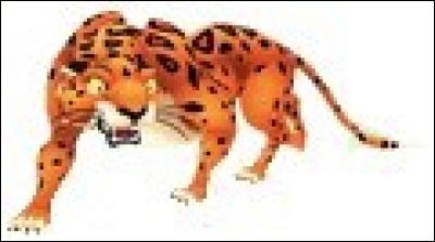 Quel est ce léopard agressif contre tous ?