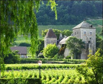 Sur la route des grands crus en Bourgogne nous nous arrêtons dans ce château d'un domaine vinicole qui a défrayé la chronique à l'occasion de son achat en 2012 par un investisseur chinois...