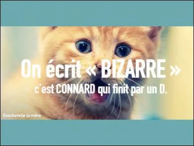 Dorénavant , pour écrire le mot oignon, vous pourrez écrire onion !