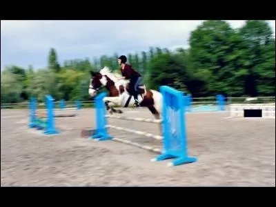 Quel est le nom de ce cheval ?