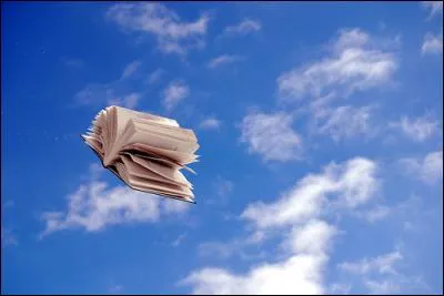 À quel dessin animé cette image vous fait-elle penser ?