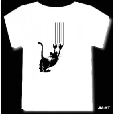 Miaou vous pétrit sur le ventre avec ses pattes et vous rentre ses griffes c'est pour...