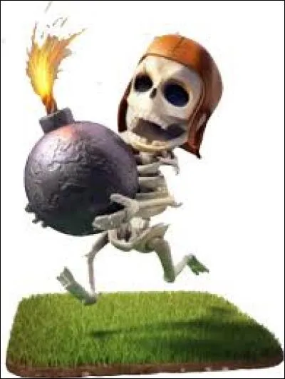 Comment s'appelle cette troupe ?