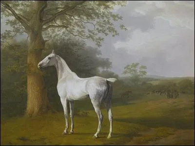 Qui a peint "Cheval blanc dans une pâture" ?