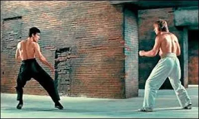 De quel film est tiré ce combat ?