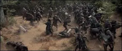 De quel opus du "Seigneur des anneaux" est tiré cet affrontement ?