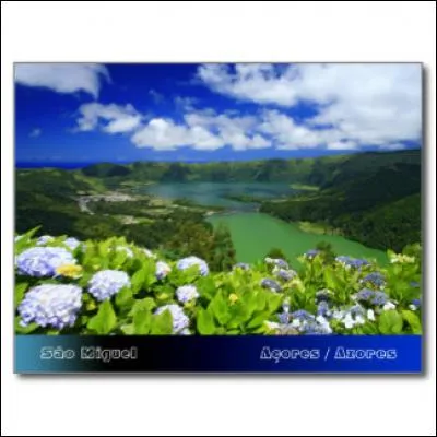 Cette année, vous décidez d'aller vous ressourcer :