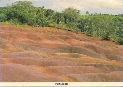 Vous partez pour l'océan Indien, mais gardez une pensée pour vos malheureux amis restés au pays en leur adressant cette carte :