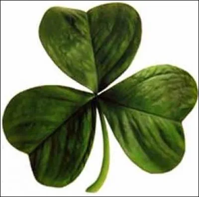 Quel pays est symbolisé par le "shamrock" ?