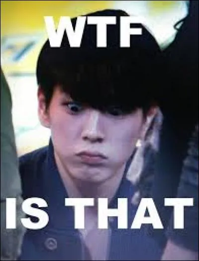 Comment ses fans sont-ils surnommés ?