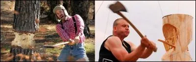 As-tu été voir le « boquillon » ? On risque d'en avoir besoin pour cet hiver, je sais qu'il ne nous reste qu'un stère au maximum.
Qui est ce « boquillon » ?