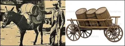 Le « buffeteur » est un voleur assez particulier. Sauriez-vous le reconnaître ?