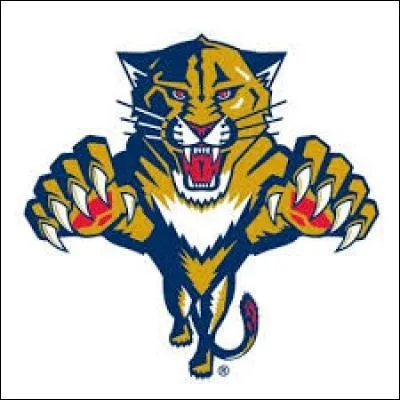 Quel est le nom de cette équipe ?