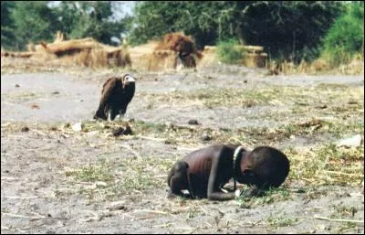 Une des plus terribles images de la famine que le monde ait jamais vue, un vautour guette cet enfant agonisant de faim pendant que le monde entier se livre &agrave; des guerres sans merci pour des p&eacute;tro-dollars ou je ne sais quoi. Toute l'horreur de ces famines en Afrique saisie en un seul clich&eacute;. Le journaliste sera accus&eacute; de ne pas avoir port&eacute; secours et se suicidera. La photo est prise en 93, o&ugrave; ?