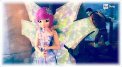 Qui Frankenstein aime-t-il en premier lieu ?