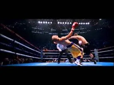 De quel film est tiré ce combat ?