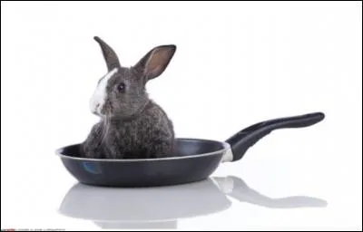 Les cuisiniers utilisent des poêles anti-adhésives à base de teflon, à partir de quel minéral est faite la résine qui empêche les aliments d'accrocher.