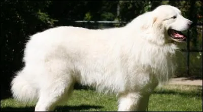 Comment s'appelle en vrai Belle ?