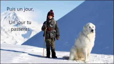 Qui a inventé et chanté la chanson du film ?
"...Belle tu es si belle..."