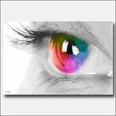 De quelle couleur sont les yeux de Legolas ?