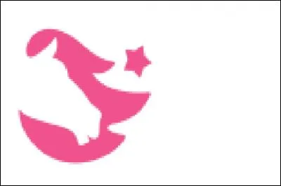 De quelle couleur est le logo Star Stable ?