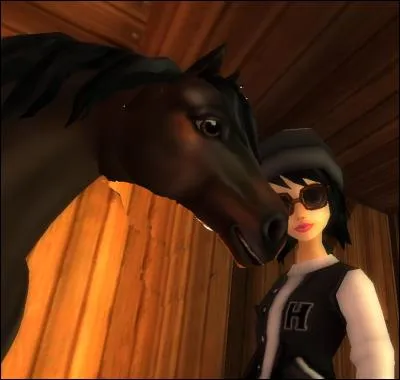 Jusqu'à combien de niveaux les chevaux peuvent-ils aller ?