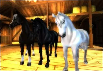 La barre d'augmentation de niveau du cheval est ...