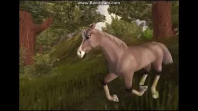 Quels sont les prochains chevaux à sortir ?