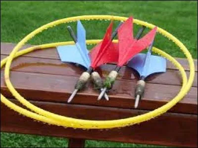 Ce jeu dangereux s'appelle "Law Darts", un jeu de fl&eacute;chettes qui a bless&eacute; environ...