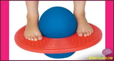 Comment s'appelle cette balle o&ugrave; le but est de sauter dessus pour rester debout ?