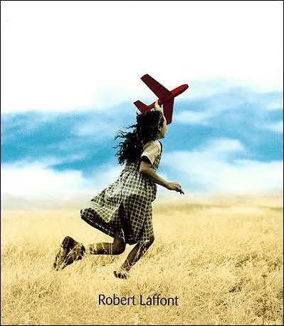 De quel livre s'agit-il?