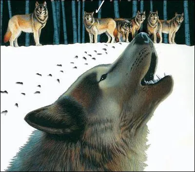 De quel livre s'agit-il?