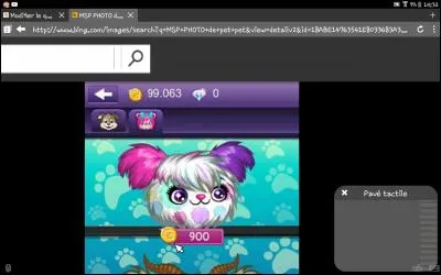 Comment s'appelle cet animal ?