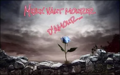 Il a dit "Si j'ai l'occasion j'aimerais mieux mourir de mon vivant" et a fait ses débuts au café de la gare avec Miou Miou :