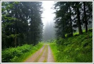 "Me voici donc seul sur la Terre, n'ayant plus de frère, de prochain, d'ami, de société, que moi-même" sont les premiers mots de :