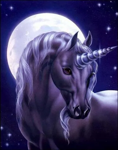 Qui a un gros trip sur les licornes ?