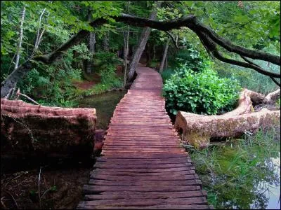 Que cache la Reine des neiges dans "La Reine des neiges 2" ?