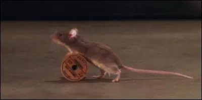 Je suis Mister Jingles, et je vous invite à la franchir avec moi !