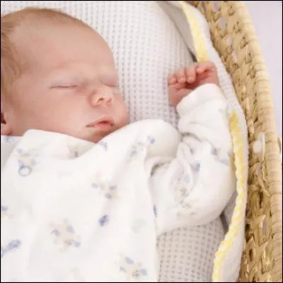 N'est pas nounou qui veut !