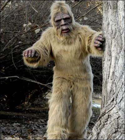 Le titre de ce film est un adjectif !