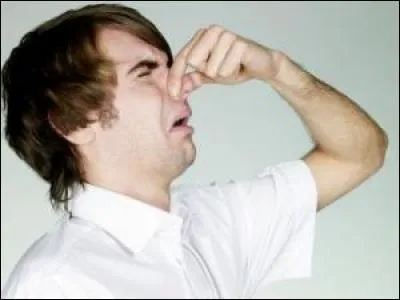 À l'état gazeux, il a une odeur caractéristique :