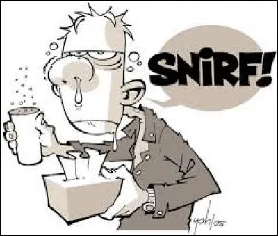 Des études classent cette maladie comme la plus courante en France. Généralement, votre nez coule, vous éternuez, et à force de vous moucher, vous avez une migraine terrible. Vos yeux peuvent aussi pleurer.