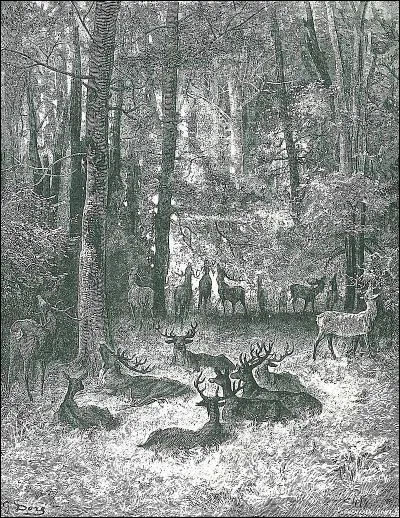 Comment se nomme la sixième fable du livre XII de Jean de La Fontaine ?